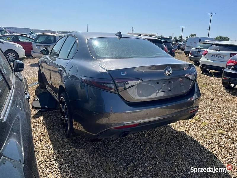Używany Alfa Romeo Giulia 2023 Szary Sedan/Limuzyna