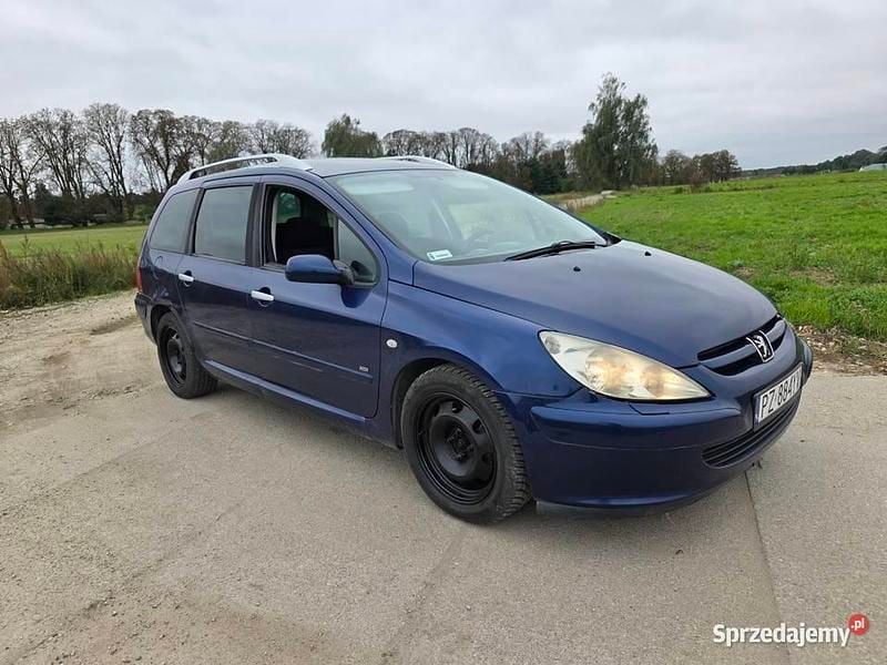 Używany 2004 Peugeot 307 | 2700 zł (Dobra cena) - Obraz 1/4