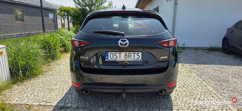 Obraz 4/4