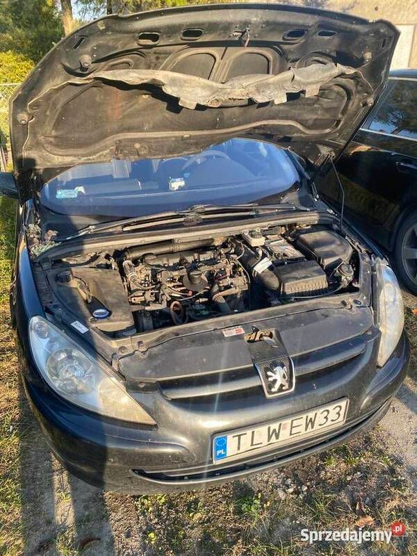 Używany 2001 Peugeot 307 | 1600 zł - Obraz 1/1
