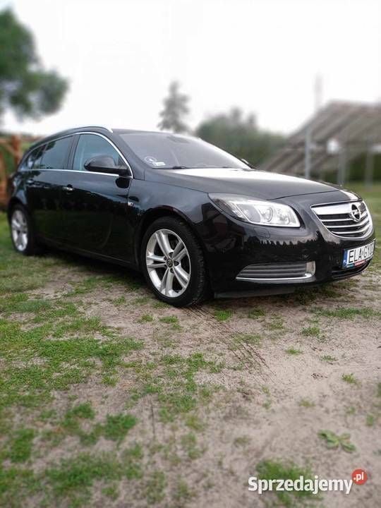 Czarny Używany 2010 Opel Insignia | 17 900 zł (Dość drogi) - Obraz 1/4