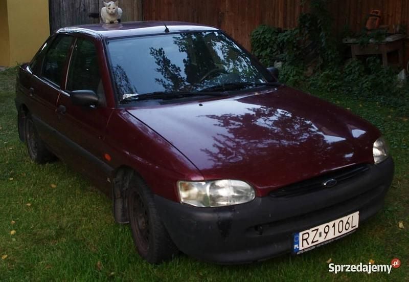 Bordowy Używany 1995 Ford Escort | 3000 zł - Obraz 1/4