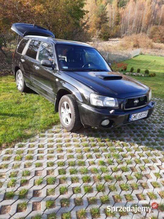 Używany Subaru Forester 2002 SUV