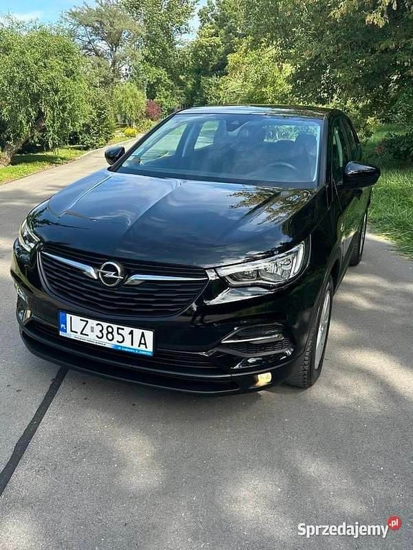 Używany 2017 Opel Grandland X SUV | 51 900 zł (Uczciwa cena) - Obraz 1/4