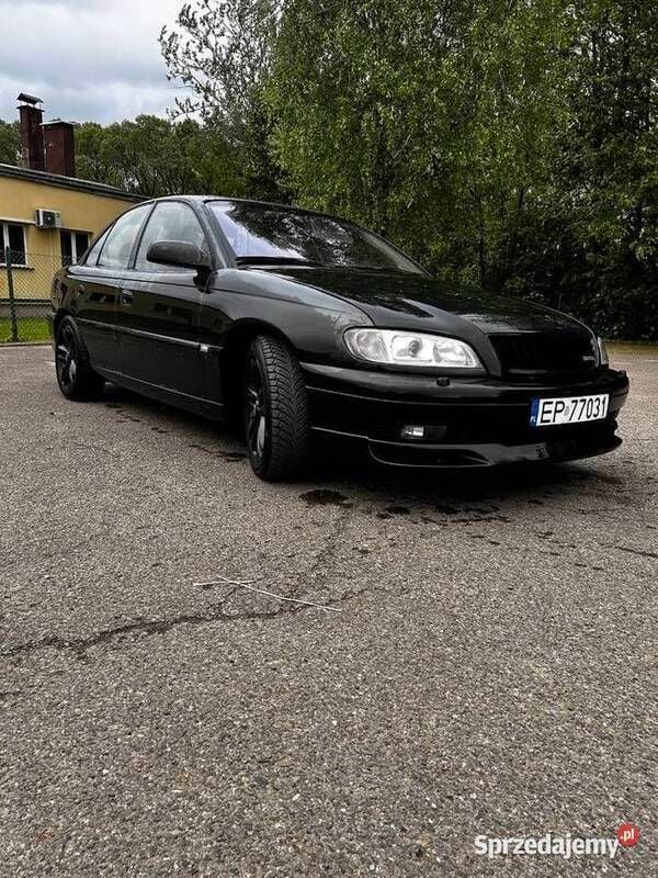 Obraz 3/4