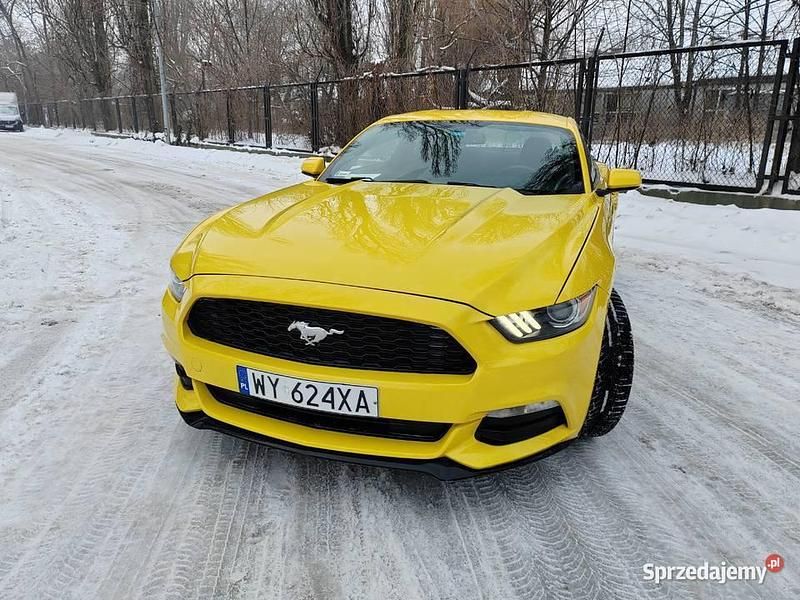 Używany Ford Mustang 2015