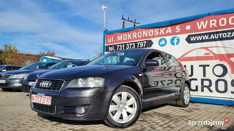 Używany 2004 Audi A3 Comfort | 5990 zł (Uczciwa cena) - Obraz 1/4