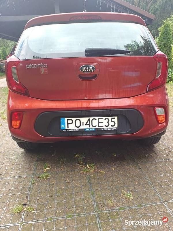 Używany Kia Picanto 67 KM (49 kW) 2017 Pomarańczowy Hatchback