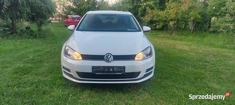 Używany 2016 VW Golf VII | 35 500 zł (Uczciwa cena) - Obraz 1/4