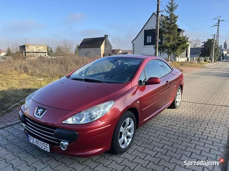 Używany 2006 Peugeot 307 | 6900 zł (Uczciwa cena) - Obraz 1/4
