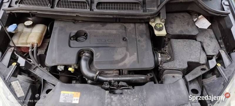Używany 2007 Ford C-MAX Minivan | 10 900 zł (Dość drogi) - Obraz 1/4