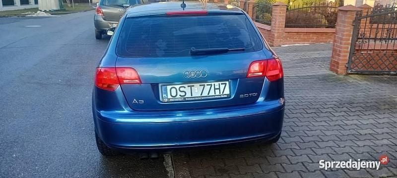 Niebieski Używany 2004 Audi A3 Kombi | 8900 zł (Uczciwa cena) - Obraz 1/4