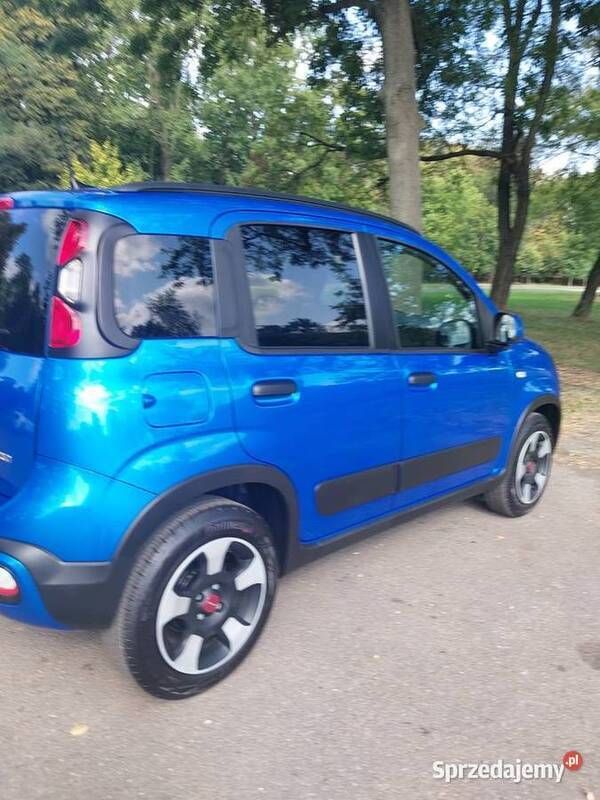 Nowe 2024 Fiat Panda Cross Cross Hatchback | 65 000 zł - Obraz 1/4