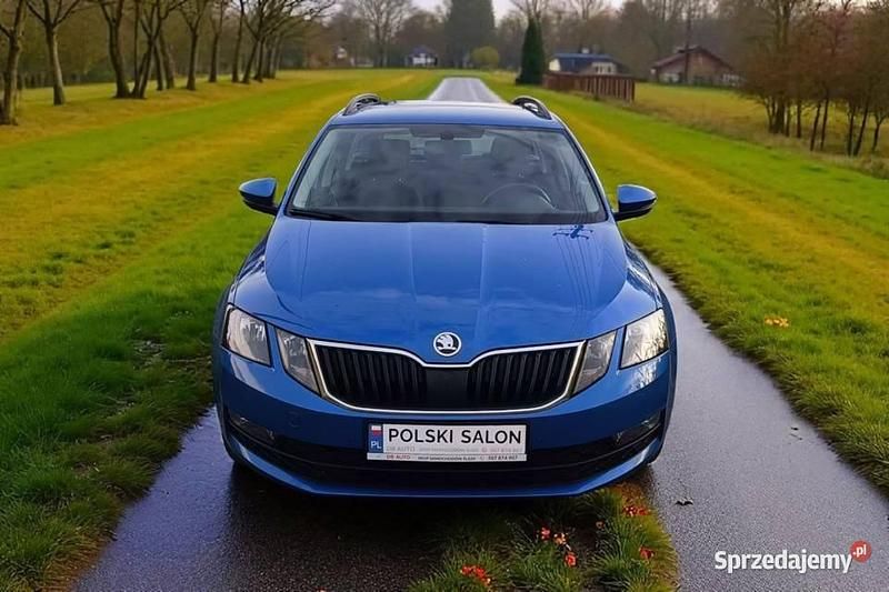 Niebieski Używany 2019 Skoda Octavia Kombi | 49 900 zł (Uczciwa cena) - Obraz 1/4