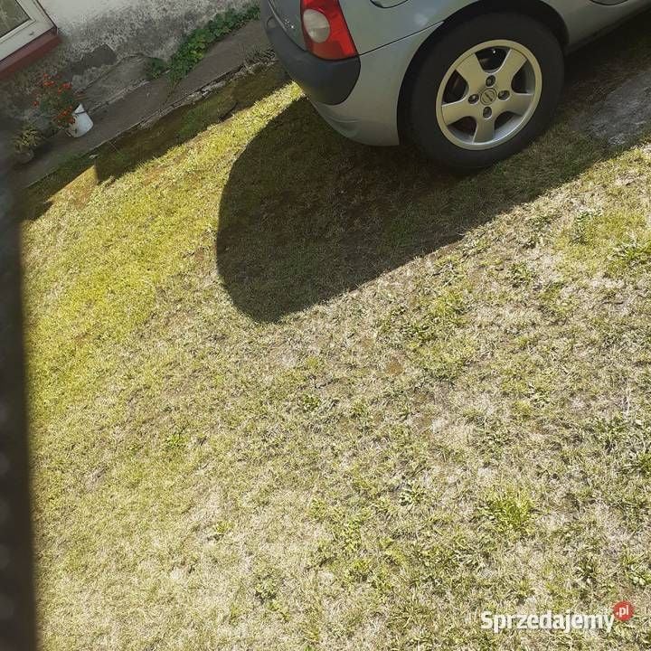 Używany Renault Clio II 2004