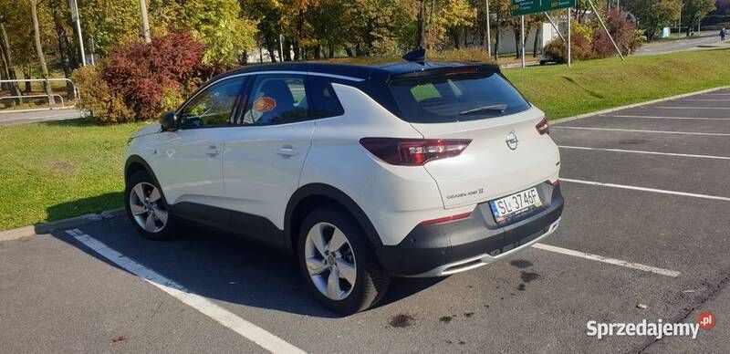 Biały Używany 2019 Opel Grandland X Ultimate SUV | 73 777 zł (Uczciwa cena) - Obraz 1/4