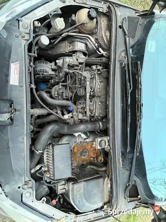 Używany Peugeot 307 Premium 2003 Kombi