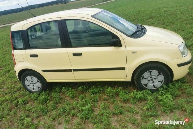 Żółty Używany 2006 Fiat Panda Hatchback | 5300 zł (Uczciwa cena) - Obraz 1/4