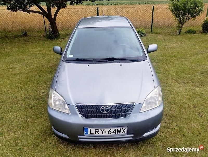 Szary Używany 2002 Toyota Corolla Hatchback | 5900 zł (Uczciwa cena) - Obraz 1/4