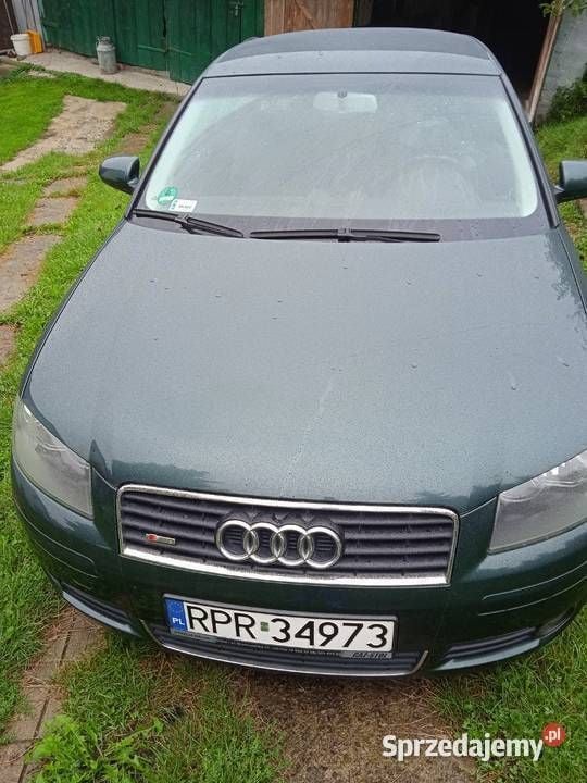 Obraz 4/4