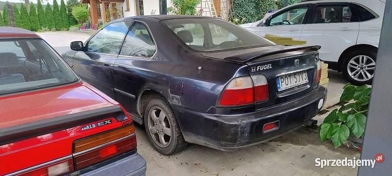 Obraz 2/4