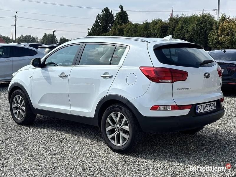 Używany Kia Sportage 2014 Biały SUV