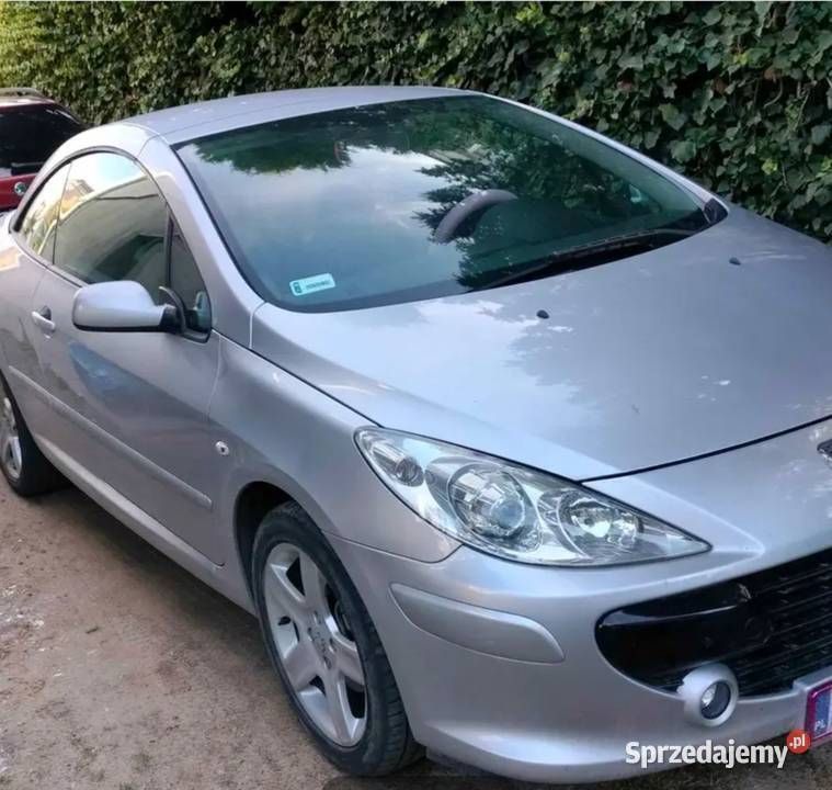 Srebrny Używany 2006 Peugeot 307 CC Kabriolet | 9000 zł - Obraz 1/4