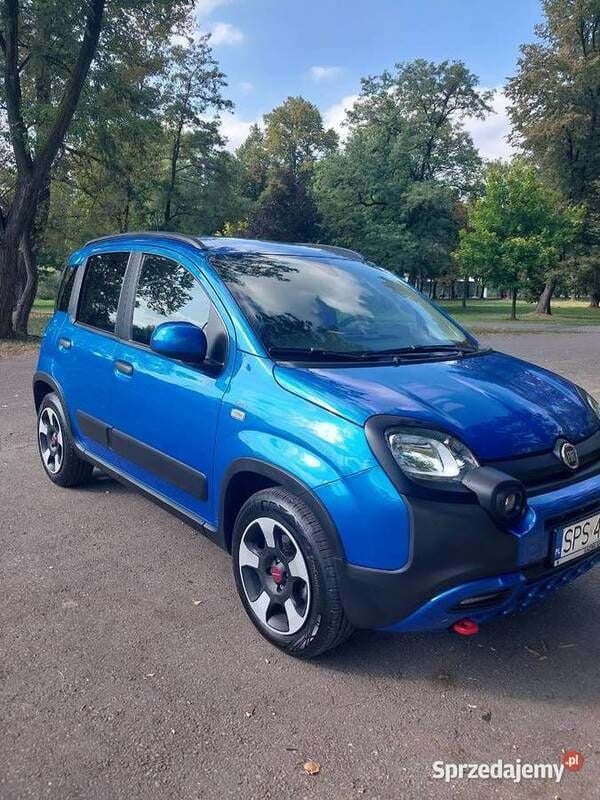 Używany Fiat Panda Cross Cross 2024 Hatchback
