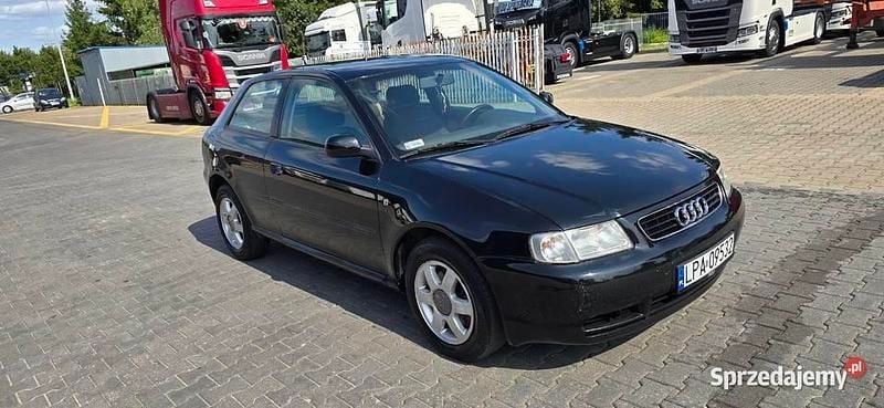 Używany 1999 Audi A3 | 6999 zł (Dość drogi) - Obraz 1/4