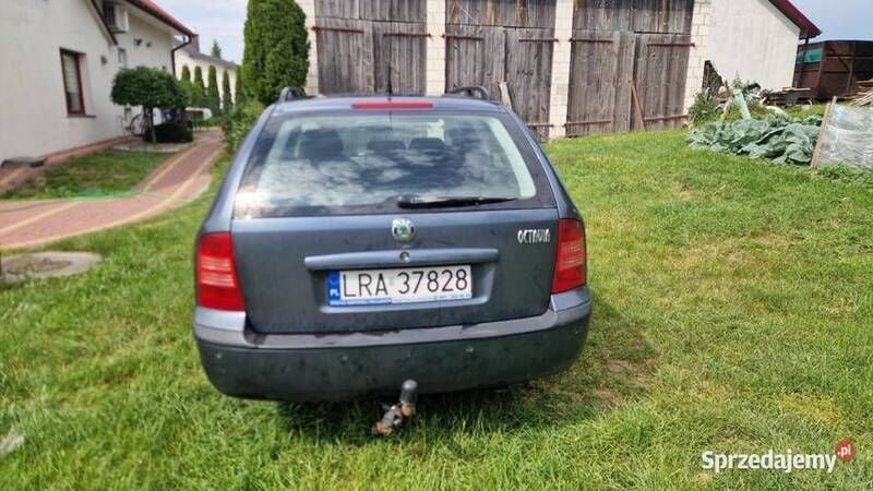 Obraz 3/3