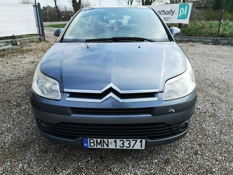 Obraz 2/4