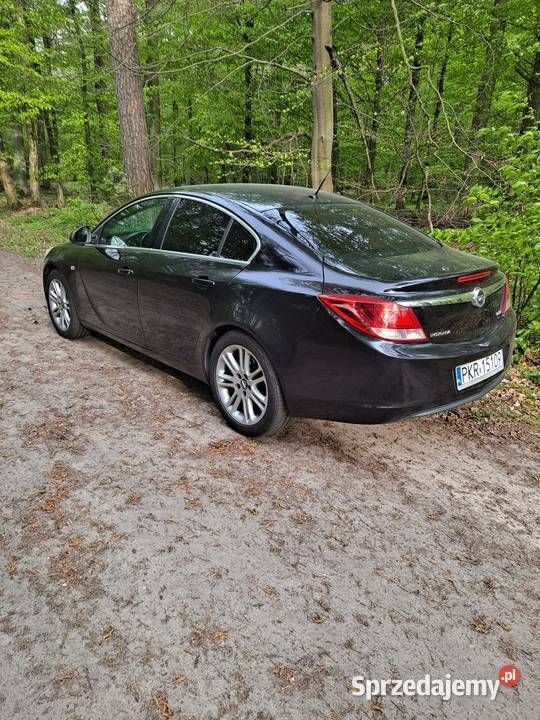 Używany 2009 Opel Insignia | 18 000 zł (Dość drogi) - Obraz 1/1