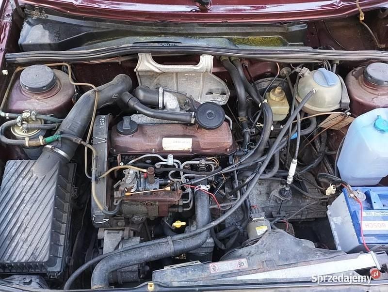 Używany 1991 VW Golf III | 1900 zł - Obraz 1/3