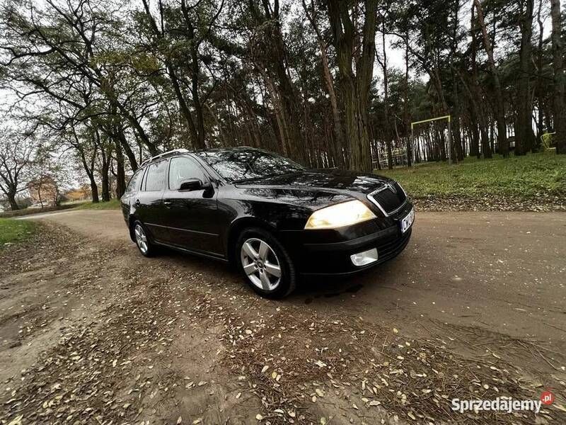 Używany 2007 Skoda Octavia | 10 000 zł (Uczciwa cena) - Obraz 1/4