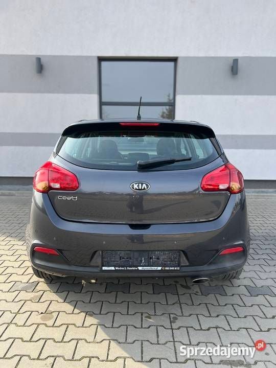 Używany Kia Ceed 135 KM (99 kW) 2015 Hatchback