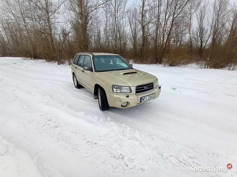 Używany Subaru Forester 2002 Złoty SUV
