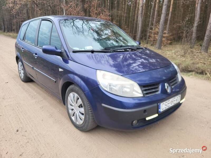 Obraz 4