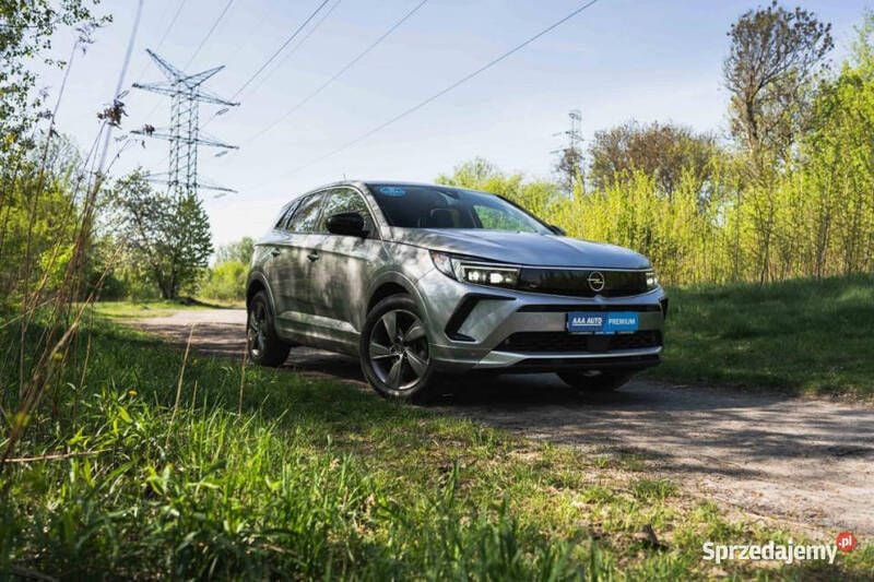 Szary Używany 2023 Opel Grandland X SUV | 89 999 zł (Uczciwa cena) - Obraz 1/4
