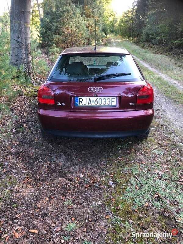 Obraz 4/4