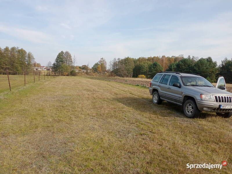 Używany 1999 Jeep Grand Cherokee SUV | 24 000 zł (Super Cena) - Obraz 1/1