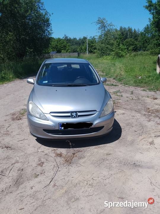 Srebrny Używany 2005 Peugeot 307 Hatchback | 5500 zł (Dobra cena) - Obraz 1/4