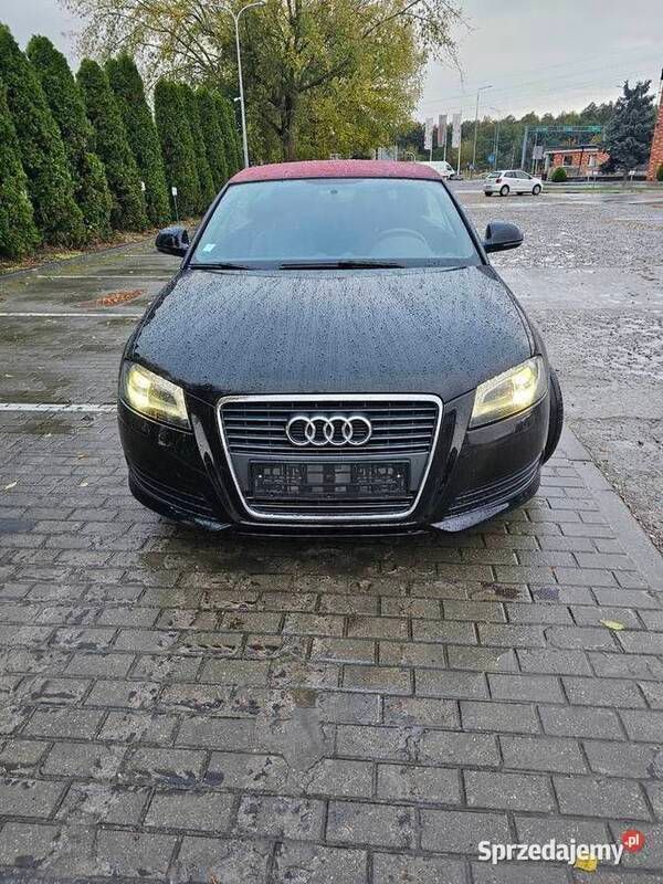Czarny Używany 2009 Audi A3 Cabriolet Kabriolet | 31 900 zł - Obraz 1/4