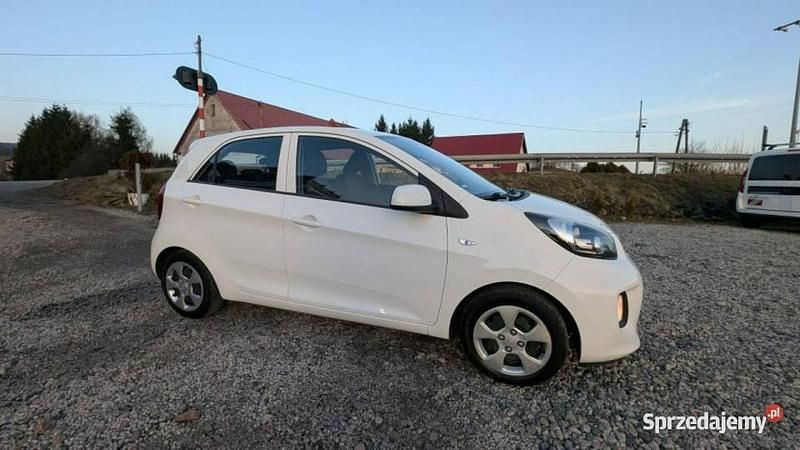 Używany Kia Picanto 67 KM (49 kW) 2016 Biały Hatchback