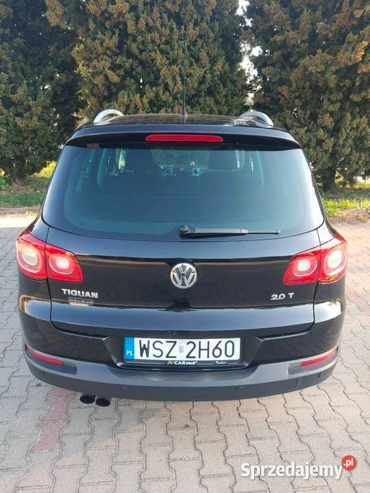 Obraz 4/4