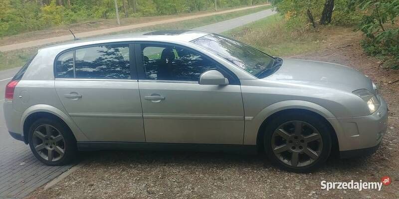 Srebrny Używany 2004 Opel Signum Kombi | 5700 zł - Obraz 1/4