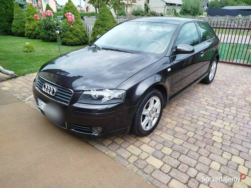 Używany 2003 Audi A3 | 17 900 zł - Obraz 1/4