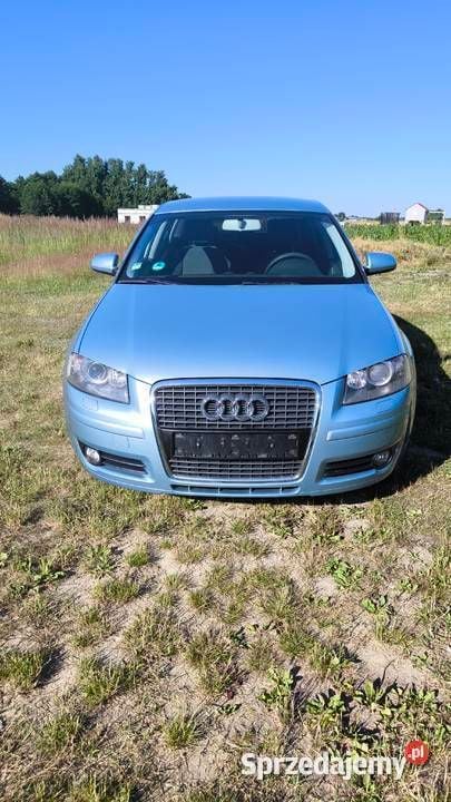 Używany 2006 Audi A3 Hatchback | 17 400 zł (Uczciwa cena) - Obraz 1/4