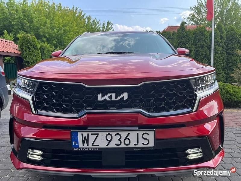 Używany 2023 Kia Sorento EX SUV | 171 500 zł (Uczciwa cena) - Obraz 1/4