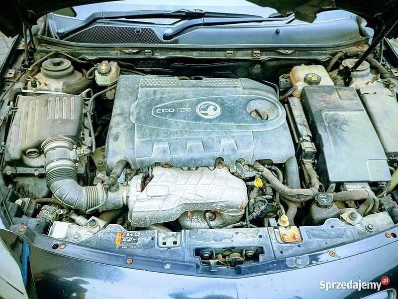 Używany Opel Insignia 160 KM (117 kW) 2011