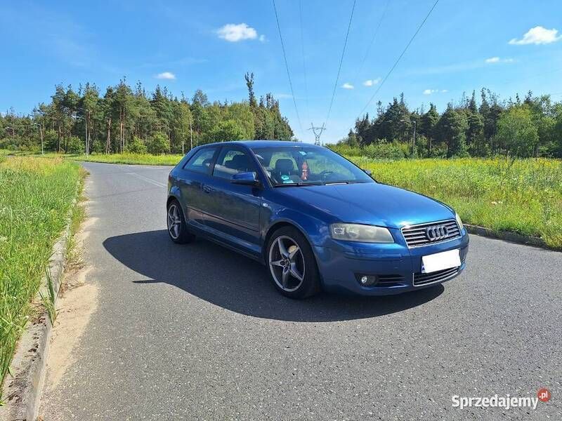 Używany 2004 Audi A3 | 9999 zł (Dość drogi) - Obraz 1/4